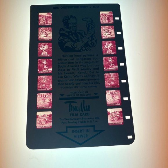 Tru-Vue Film Card Stereoview Boa Constrictor Hunter Snakes Reptiles Vintage M-11 - Picture 3 of 6